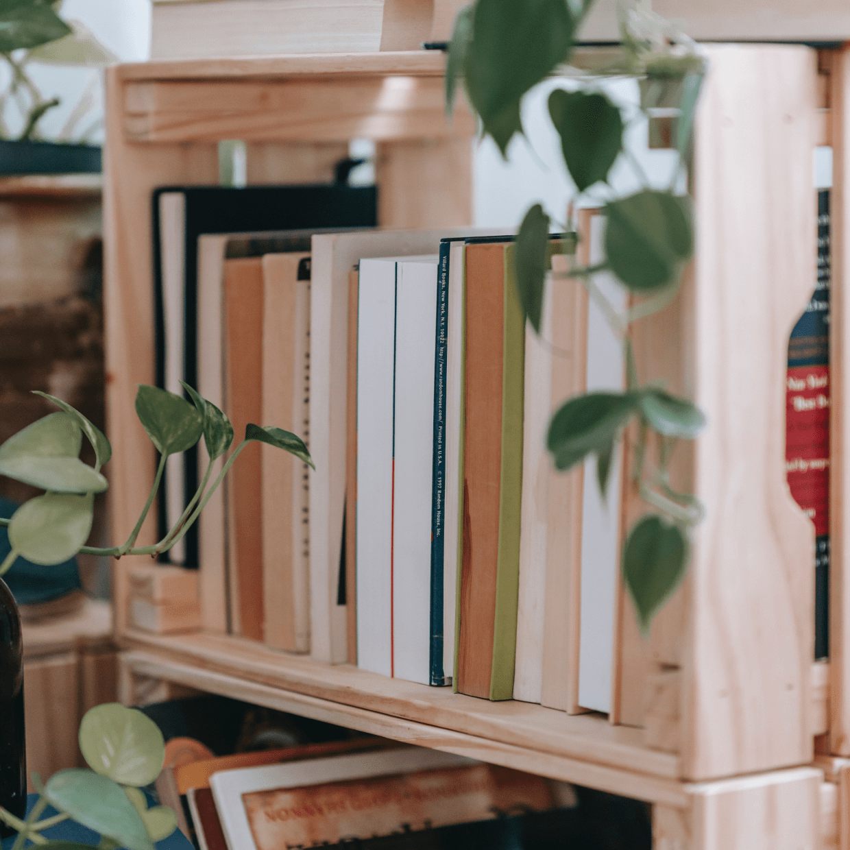 Lire la suite à propos de l’article Photograph Inspiration To Learn New Angles