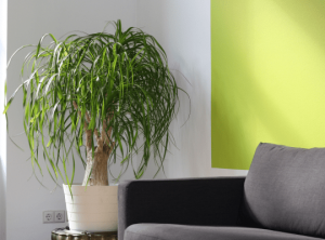 Lire la suite à propos de l’article Color Coordination: All About The Details