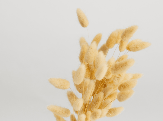 Lire la suite à propos de l’article Season Change Photoshoot